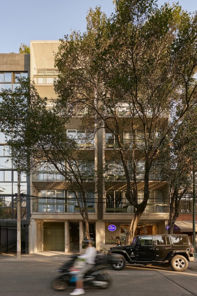 Oaxaca 88 - CCA + IP STUDIO